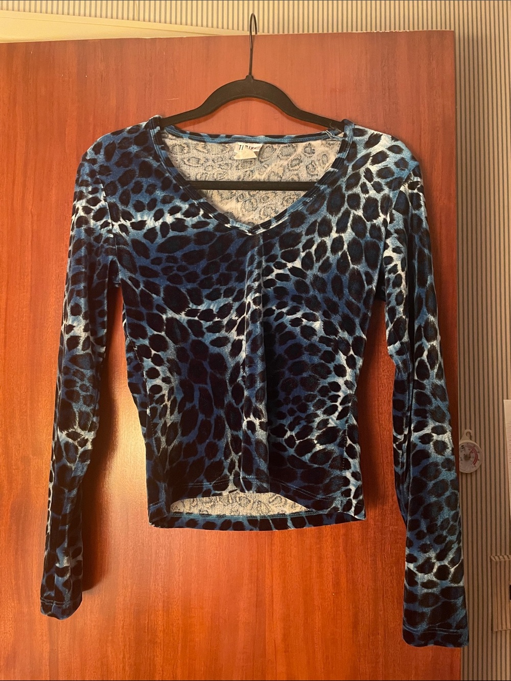 Vintage Blue Velvet Animal Print Long Sleeve Top